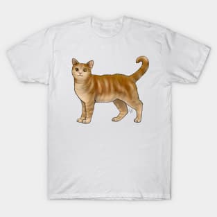 Cat - American Wirehair - Marmalade T-Shirt